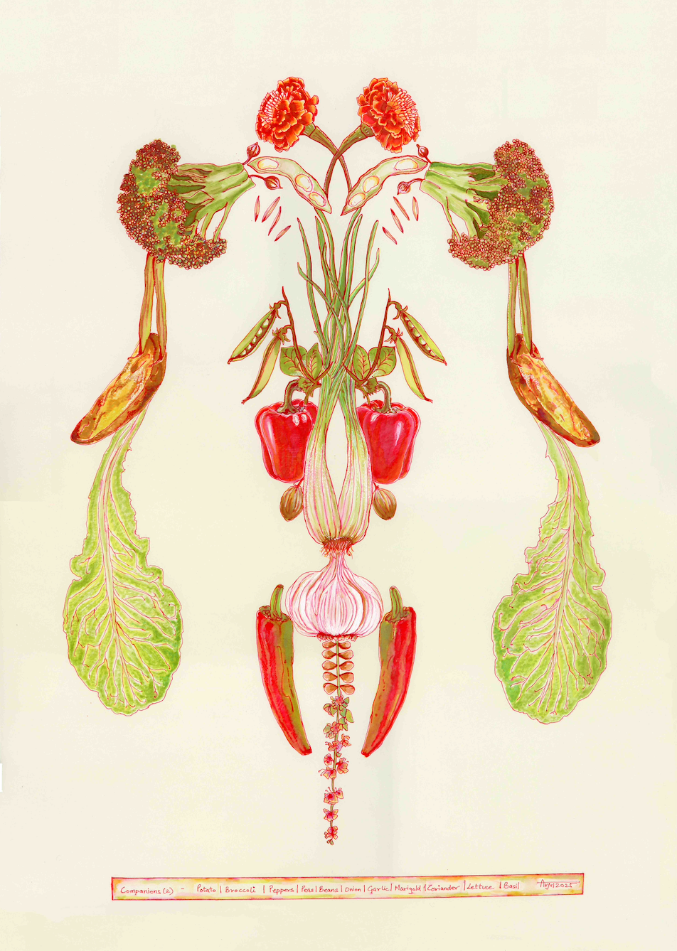 Section Image